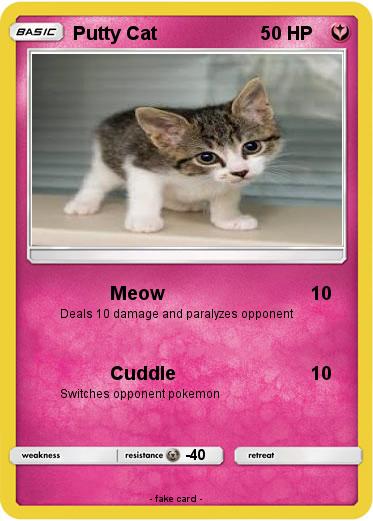 Pokemon Putty Cat