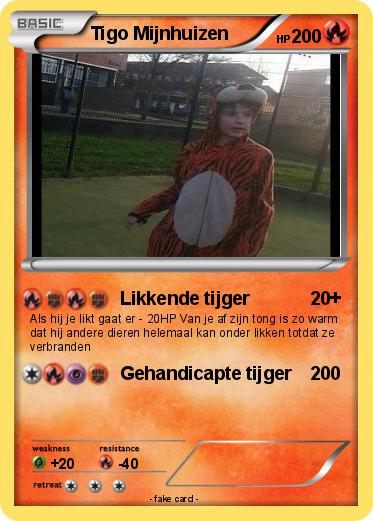 Pokemon Tigo Mijnhuizen