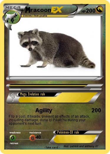 Pokemon racoon