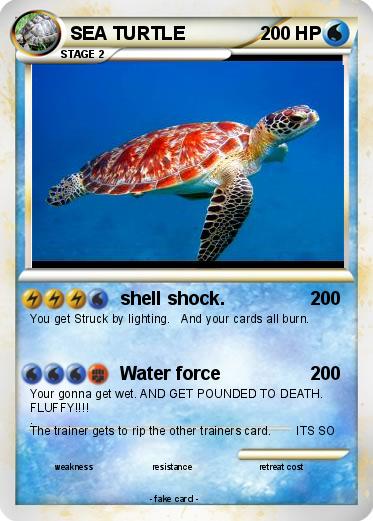 Pokemon SEA TURTLE