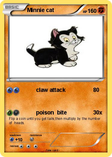 Pokemon Minnie cat