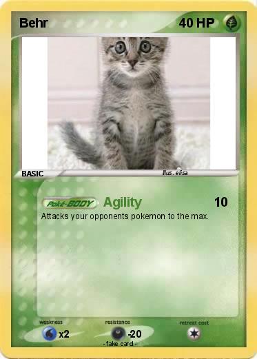 Pokemon Behr