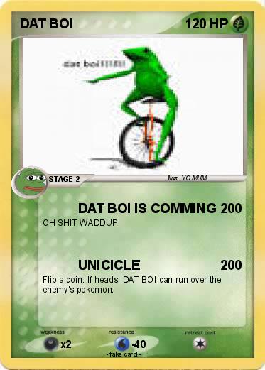 Pokemon DAT BOI