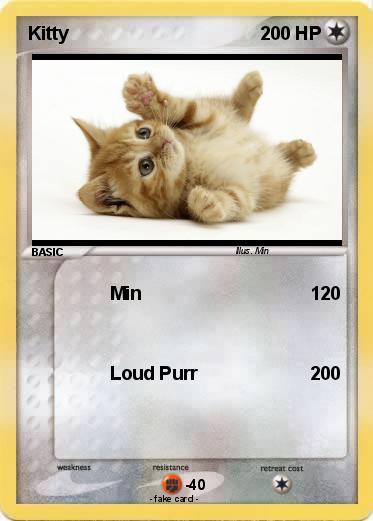 Pokemon Kitty