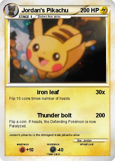 Pokemon Jordan's Pikachu