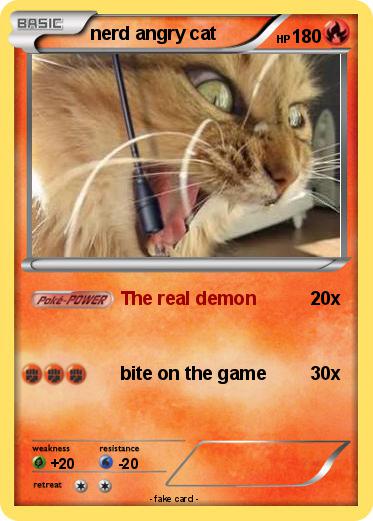 Pokemon nerd angry cat