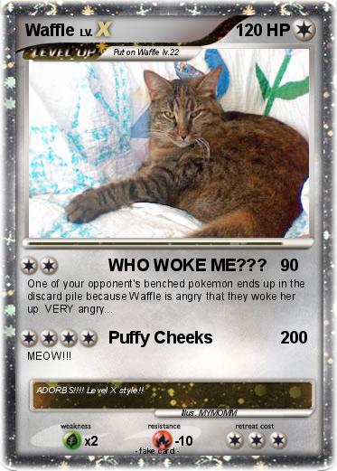 Pokemon Waffle