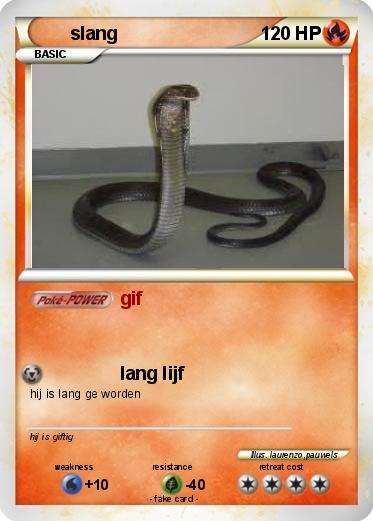 Pokemon slang