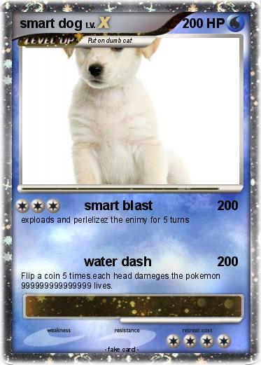 Pokemon smart dog