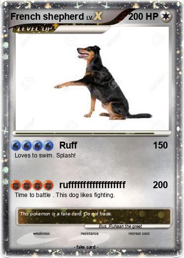 Pokemon French shepherd