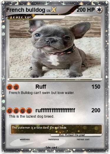 Pokemon French bulldog