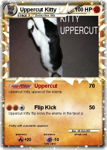 Pokemon Uppercut Kitty