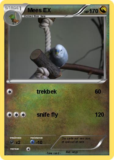 Pokemon Mees EX