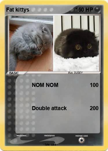 Pokemon Fat kittys