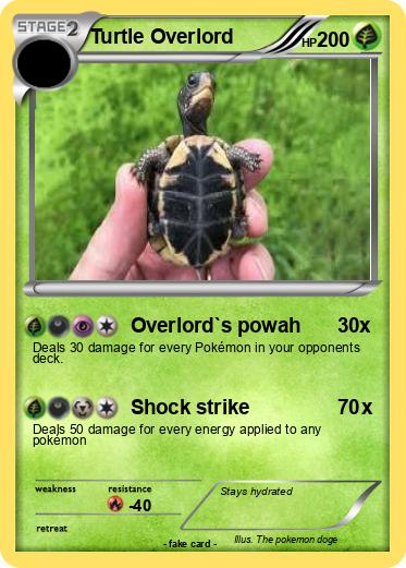Pokemon Turtle Overlord
