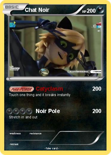 Pokemon Chat Noir