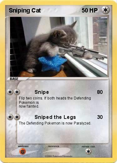 Pokemon Sniping Cat
