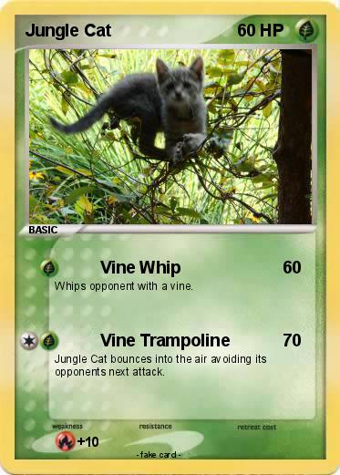 Pokemon Jungle Cat