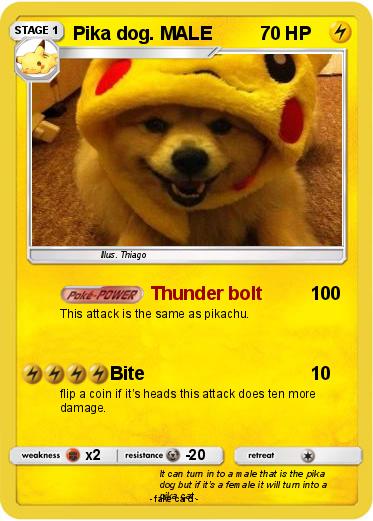 Pokemon Pika dog. MALE