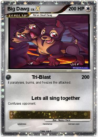 Pokemon Big Dawg