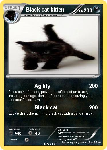Pokemon Black cat kitten