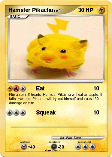 Pokemon Hamster Pikachu