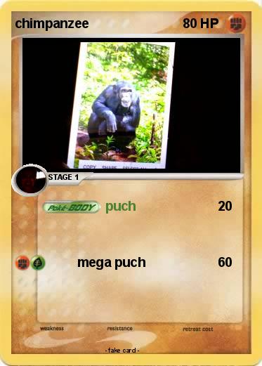 Pokemon chimpanzee