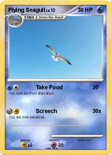 Pokemon Flying Seagull