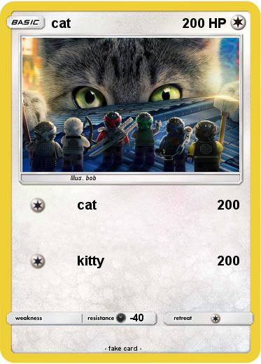 Pokemon cat