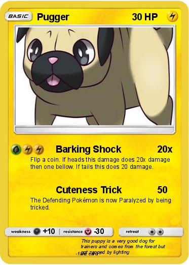 Pokemon Pugger
