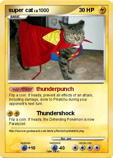 Pokemon super cat