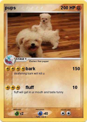 Pokemon pups