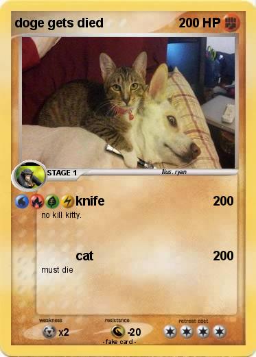 Pokemon doge gets died