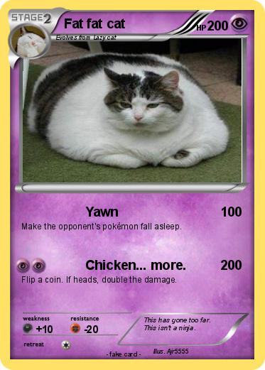 Pokemon Fat fat cat