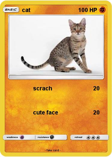 Pokemon cat