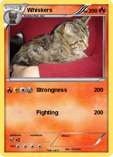 Pokemon Whiskers