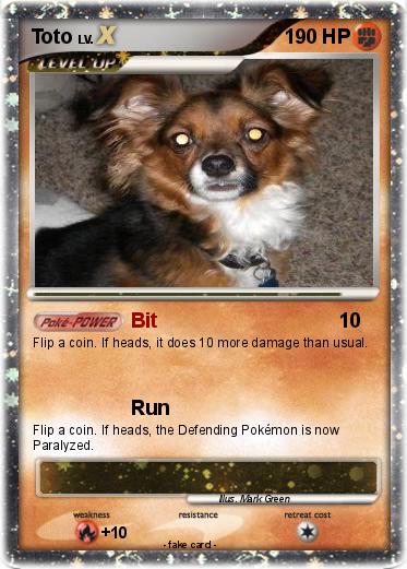 Pokemon Toto