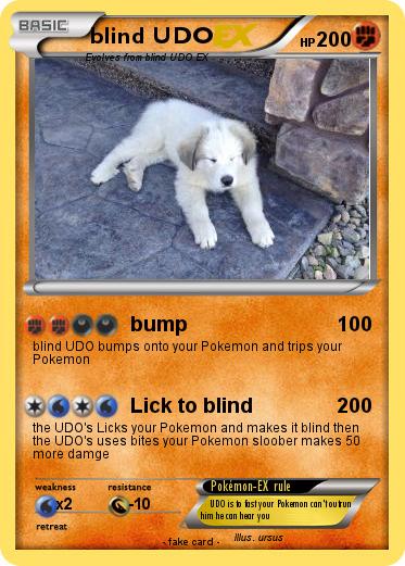 Pokemon blind UDO