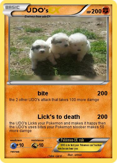 Pokemon UDO's
