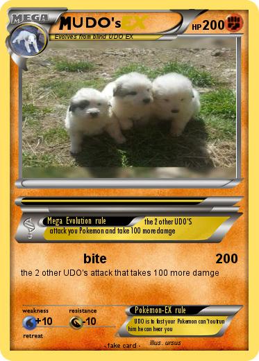 Pokemon UDO's