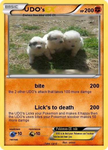 Pokemon UDO's