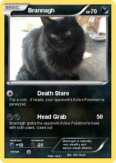 Pokemon Brannagh