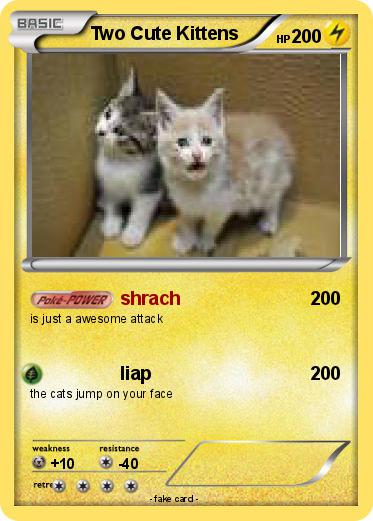 Pokemon Two Cute Kittens