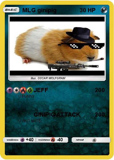 Pokemon MLG ginipig
