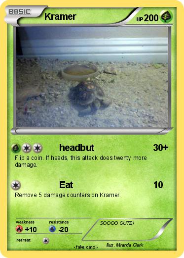 Pokemon Kramer