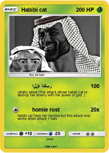 Pokemon Habibi cat