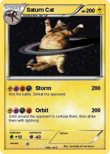 Pokemon Saturn Cat