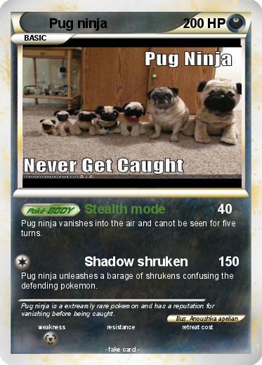 Pokemon Pug ninja
