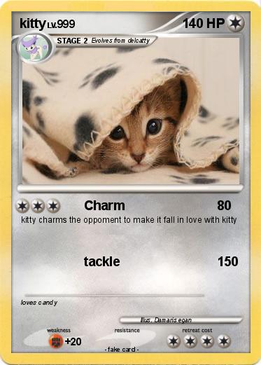 Pokemon kitty