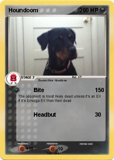 Pokemon Houndoom